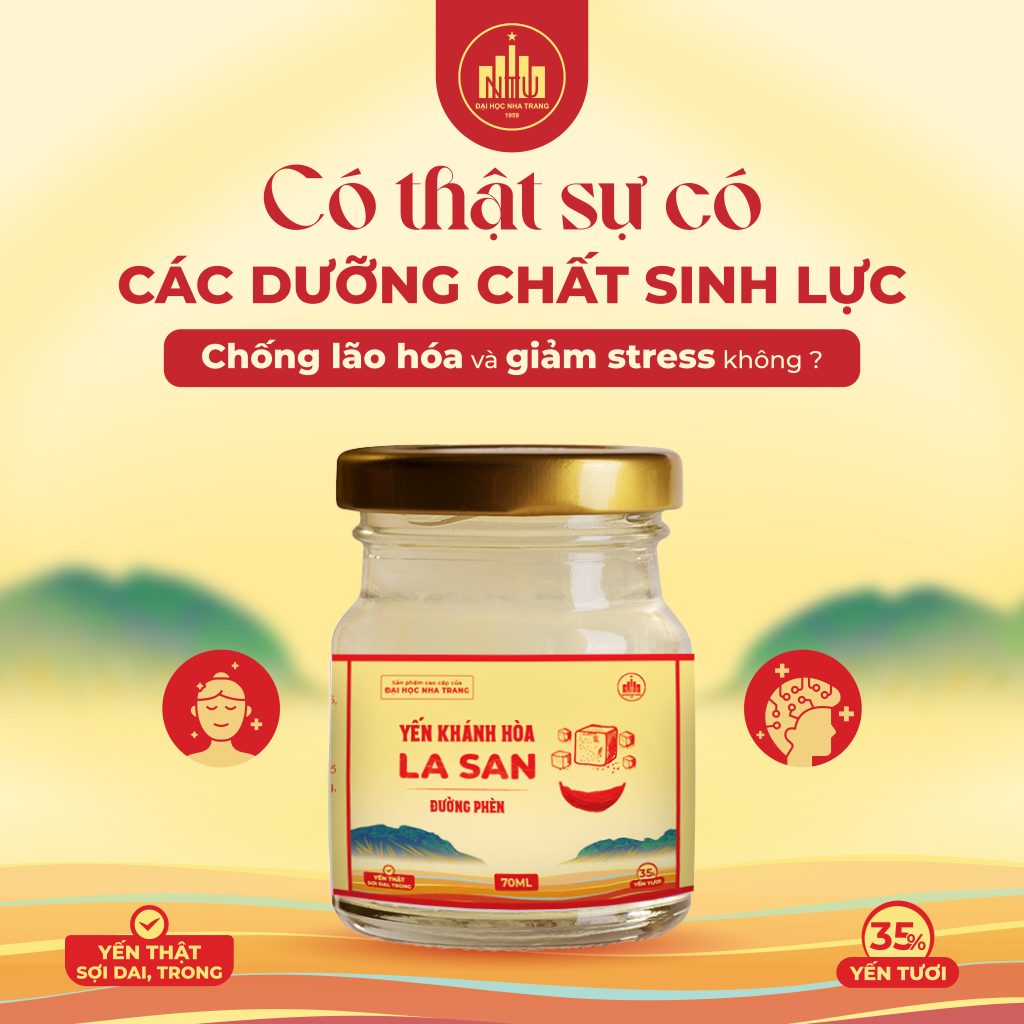 Có thật sự các đưỡng chất sinh lực, chống lão hóa và giảm stress?