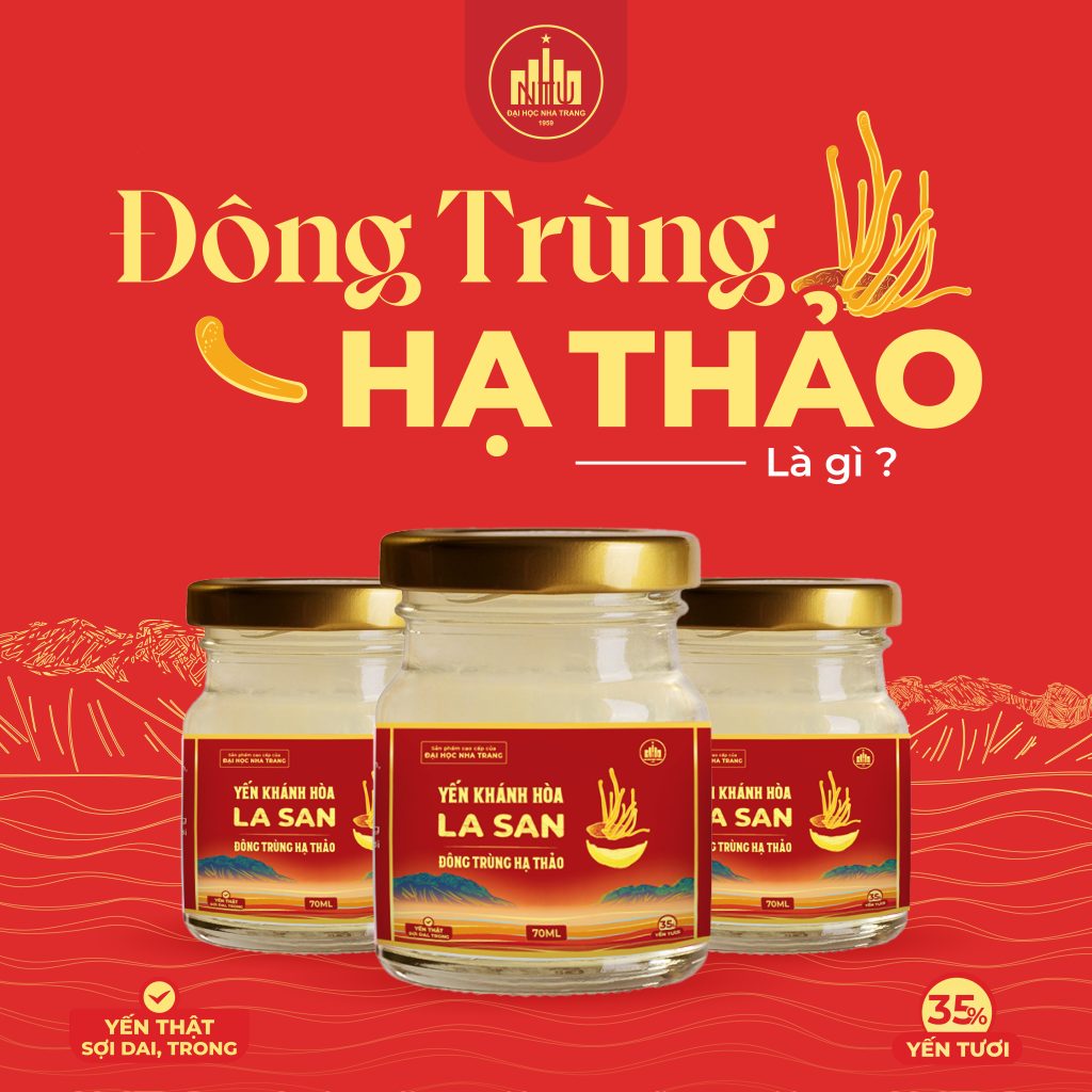 Đông Trùng Hạ Thảo Là gì