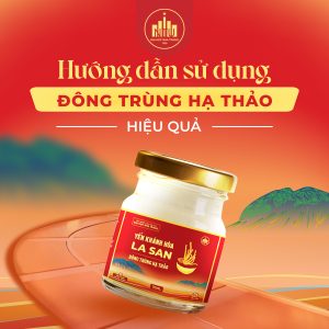 Hướng dẫn sử dụng Đông trùng hạ thảo