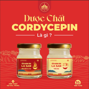 dược chất cordycepin là gì